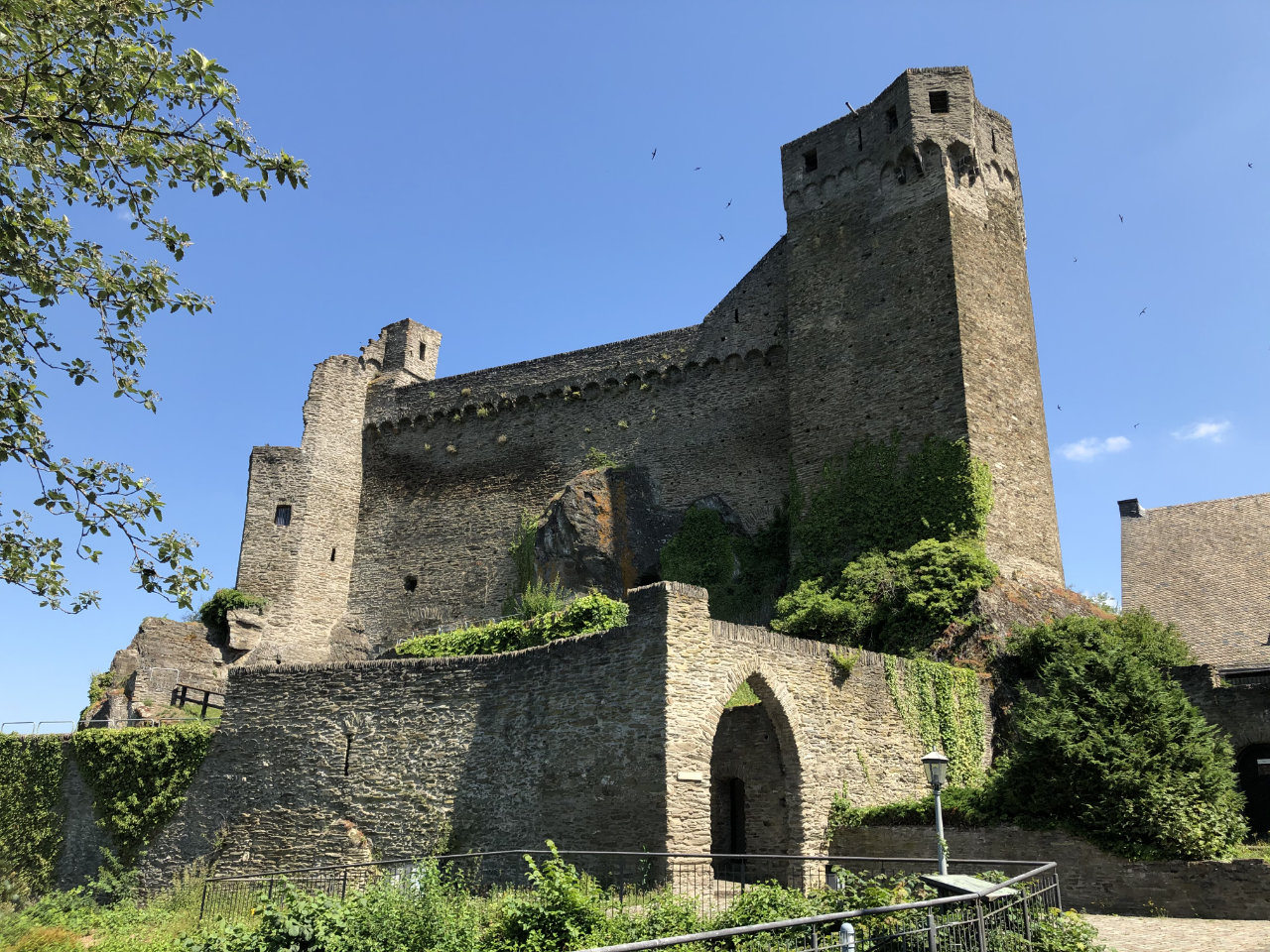 Burgruine Hohenstein