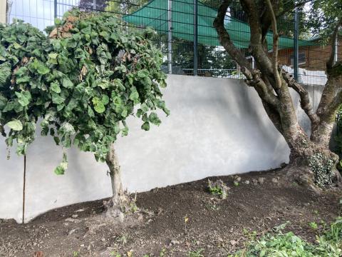 Kindergarten, Remscheid